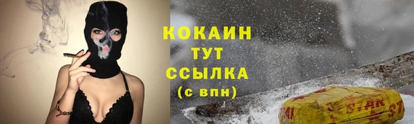 соль ск Пестово