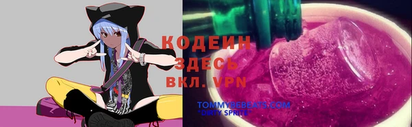 не бодяженный Переславль-Залесский