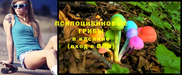 мет Пересвет