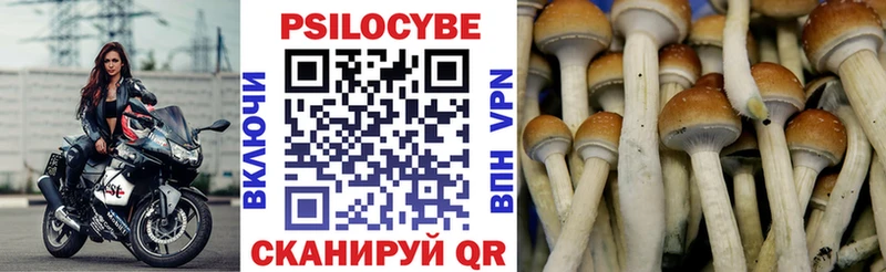 Галлюциногенные грибы ЛСД  Пугачёв 